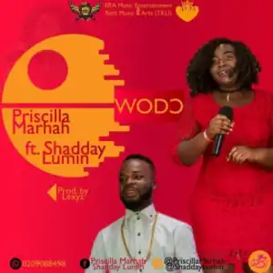 Priscilla Marhah - Wo Do Ft. Shadday Lumin